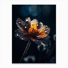 Raindrops On A Flower 3 Canvas Print