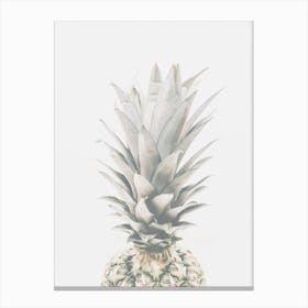 Pineapple Fruit Canvas Print