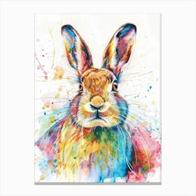 Arctic Hare Colourful Watercolour 1 Canvas Print
