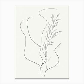 Line Drawing Of A Plant 1 Canvas Print