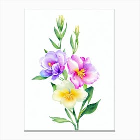 Freesia 3 Watercolour Flower Canvas Print