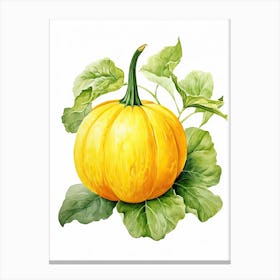Spaghetti Squash Pumpkin Watercolour Illustration 4 Canvas Print