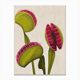 Carnivorous Plants Canvas Print
