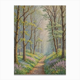 The Misty Woods Canvas Print