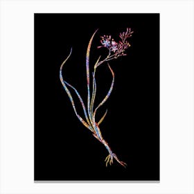 Stained Glass Phalangium Bicolor Mosaic Botanical Illustration on Black n.0073 Canvas Print