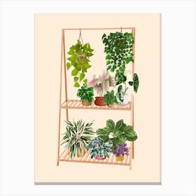 Plant Shelf 10 Canvas Print