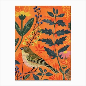 Spring Birds Finch 2 Canvas Print