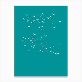 Flock Of Birds Canvas Print