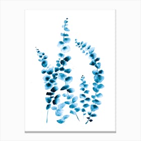 Blue Eucalyptus Canvas Print