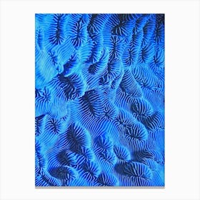 Blue Coral Canvas Print