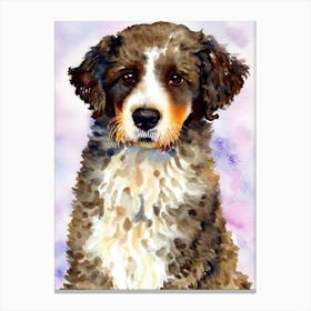Spanish Water Dog 3 Watercolour dog Canvas Print
