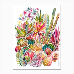 Flowering Succulent And Cacti Garden Canvas Print
