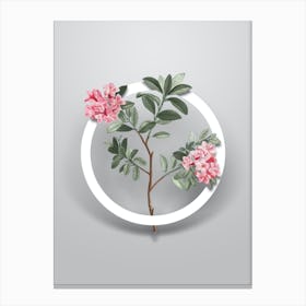 Vintage Hairy Alpenrose Minimalist Flower Geometric Circle on Soft Gray n.0460 Canvas Print