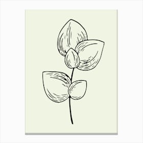 Drawing Of A Flower line art Canvas Print