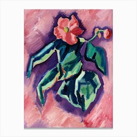 Pink Begonias, Marsden Hartley Canvas Print