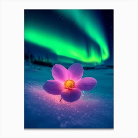 Aurora Borealis Flower Stampe su tela