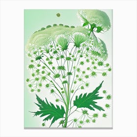 Queen Anne'S Lace 1 Floral Botanical Vintage Poster Flower Canvas Print