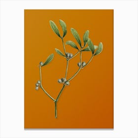 Vintage Viscum Album Branch Botanical on Sunset Orange Canvas Print