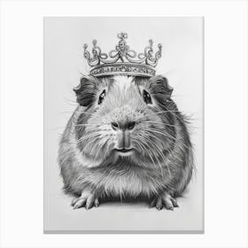 Guinea Pig With Crown 4 Canvas Print