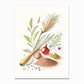 Mace Spices And Herbs Pencil Illustration 4 Canvas Print