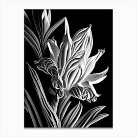 Tuberose Leaf Linocut 1 Canvas Print