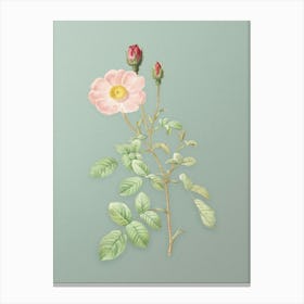 Vintage Sparkling Rose Botanical Art on Mint Green n.0142 Canvas Print