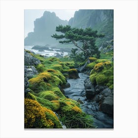 Mossy Stream Canvas Print