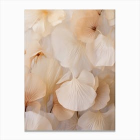 Boho Dried Flowers Cyclamen 3 Canvas Print