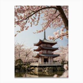 Cherry Blossoms In Japan Canvas Print