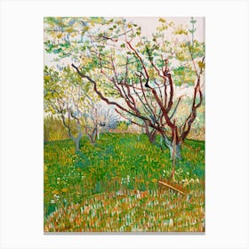 Van Gogh 86 Canvas Print