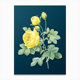 Vintage Yellow Rose Botanical Art on Teal Blue n.0686 Canvas Print