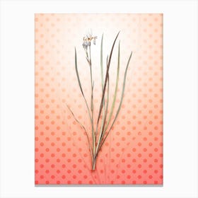 Siberian Iris Vintage Botanical in Peach Fuzz Polka Dot Pattern n.0166 Canvas Print