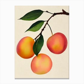 Peach Watercolour Fruit Painting Fruit Canvas Print