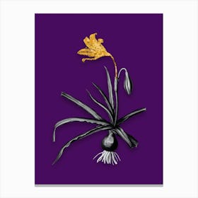 Vintage Amaryllis Broussonetii Black and White Gold Leaf Floral Art on Deep Violet Canvas Print