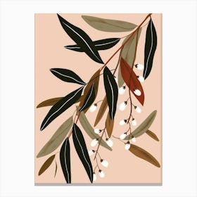 Eucalyptus Branch 2 Canvas Print