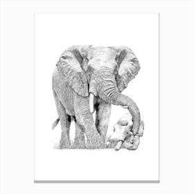 Elephant Artwork - Wildlife Art Print Canvas Print