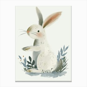 Florida White Rabbit Kids Illustration 1 Canvas Print