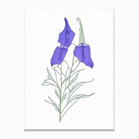 Canterbury Bell Floral Minimal Line Drawing 3 Flower Canvas Print
