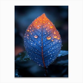 Blue Leaf With Water Droplets 5 Canvas Print