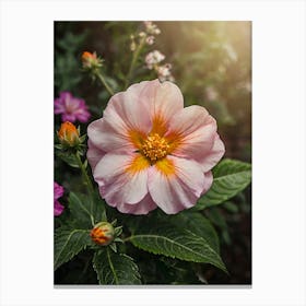 Pink Rose Canvas Print