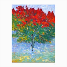 Balsam Fir tree Abstract Block Colour Canvas Print