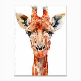 Giraffe Canvas Print