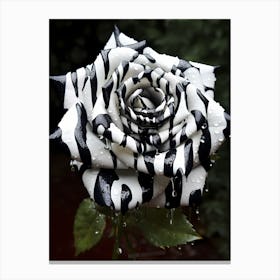 Zebra Rose Canvas Print