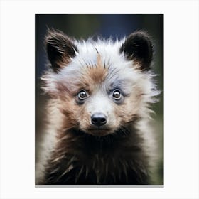 Color Photograph Of A Bear Cub Canvas Print