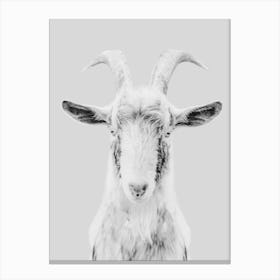 Black And White Goat Canvas Print