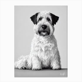 Soft Coated Wheaten Terrier B&W Pencil dog Canvas Print