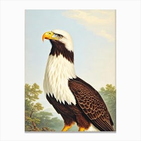 Bald Eagle James Audubon Vintage Style Bird Canvas Print