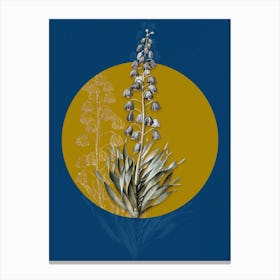 Vintage Botanical Persian Lily on Circle Yellow on Blue n.0266 Canvas Print