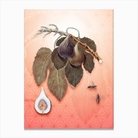 Fig Vintage Botanical in Peach Fuzz Asanoha Star Pattern n.0225 Canvas Print