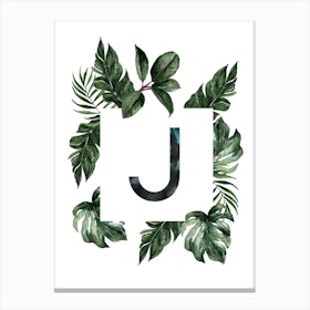 Botanical Alphabet J Canvas Print